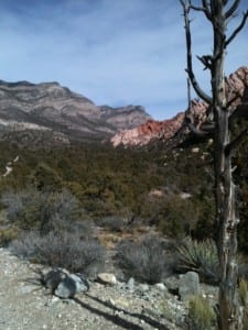 Red Rock Canyon, Las Vegas--$7 All Day!