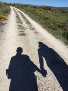 You Should Walk the Camino!