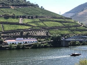 Quinta Das Carvalhas winery in the Douro Valley