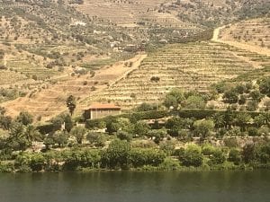 Douro Valley Scenery By Train